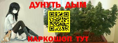 хмурый Аша