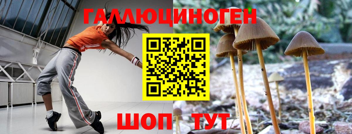 Псилоцибиновые грибы прущие грибы Луховицы