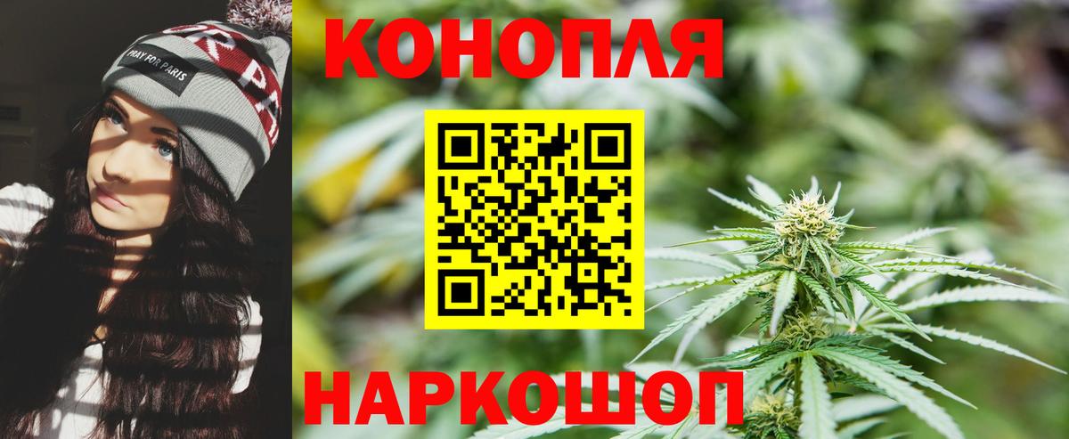 Каннабис планчик Луховицы